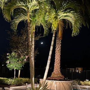 Meet your Posher, Barbie